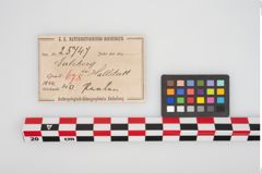 Etikett zu Perlenkette (NHMW-PRAE-025747)